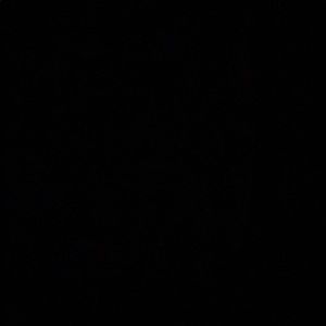 Meet your Posher, Julian